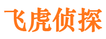 囊谦市私家侦探